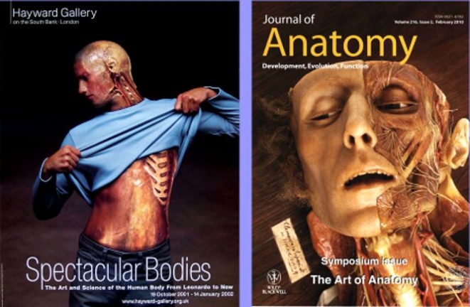 XII wax on the cover of the Journal of Anatomy (Editor Gillian Morris Kay, 2010), on the left, the cover of the exhibition catalog Spectacular Bodies of the Royal Festival Hall Hayward Gallery (London Oct 2000- January 2001)